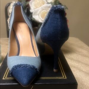 Denim Pointed-Toe Stiletto Pumps - Blue